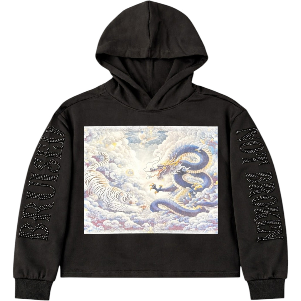 Black hoodie with dragon design and branding on a white background