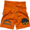 Orange shorts with a panther design and 'Power Respect' text on a white background kids shorts kids basketball shorts