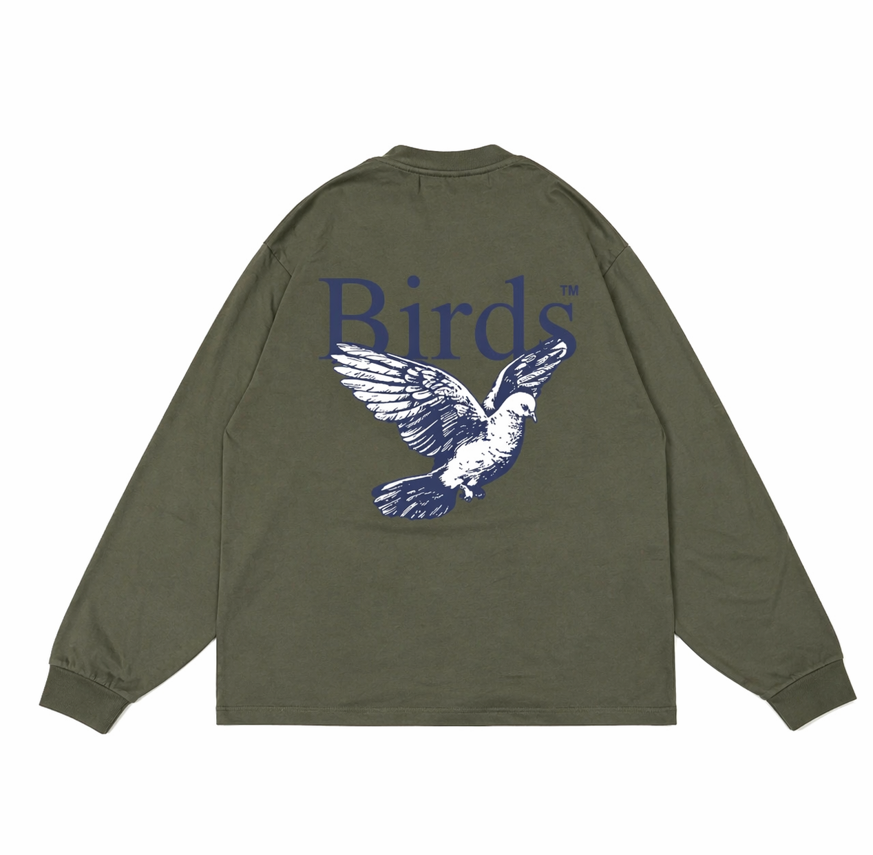 Premium Oversized Long Sleeve Dove Sketch T-Shirt in Olive