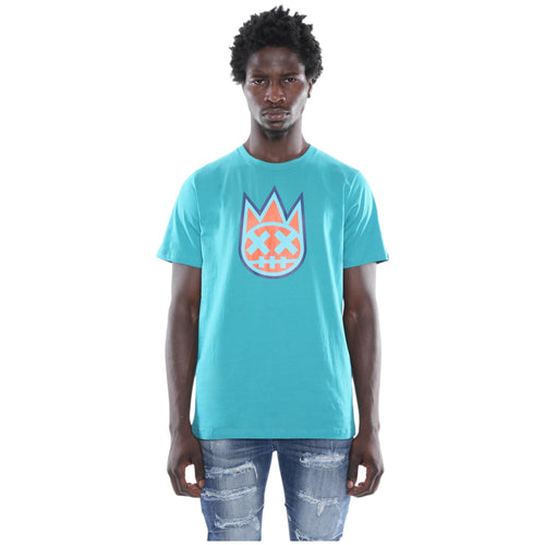 Person wearing a turquoise t-shirt with a colorful logo on a white background