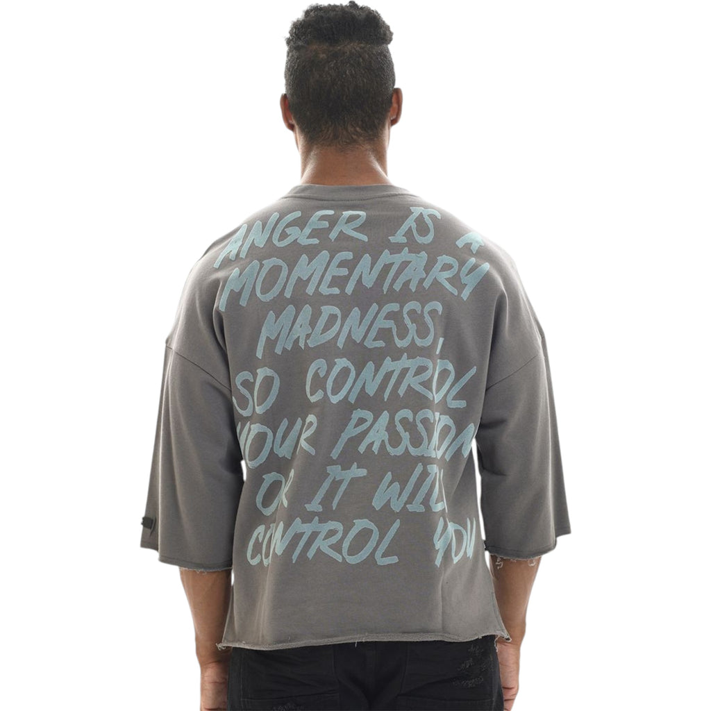 Madness Cropped Oversized Tee In Grey