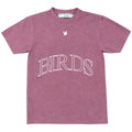 Banner Washed Oversized Tee In Salmon