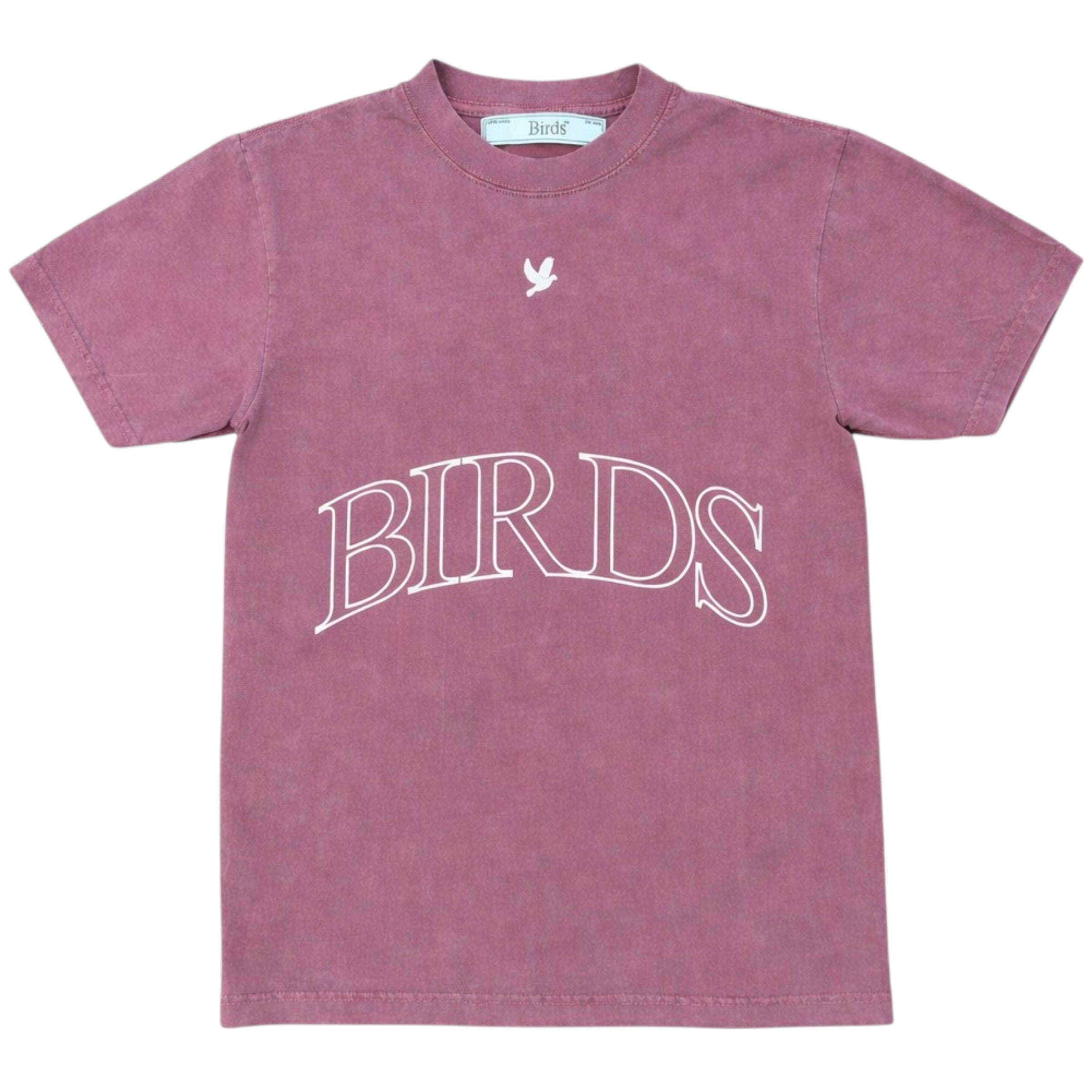 Banner Washed Oversized Tee In Salmon