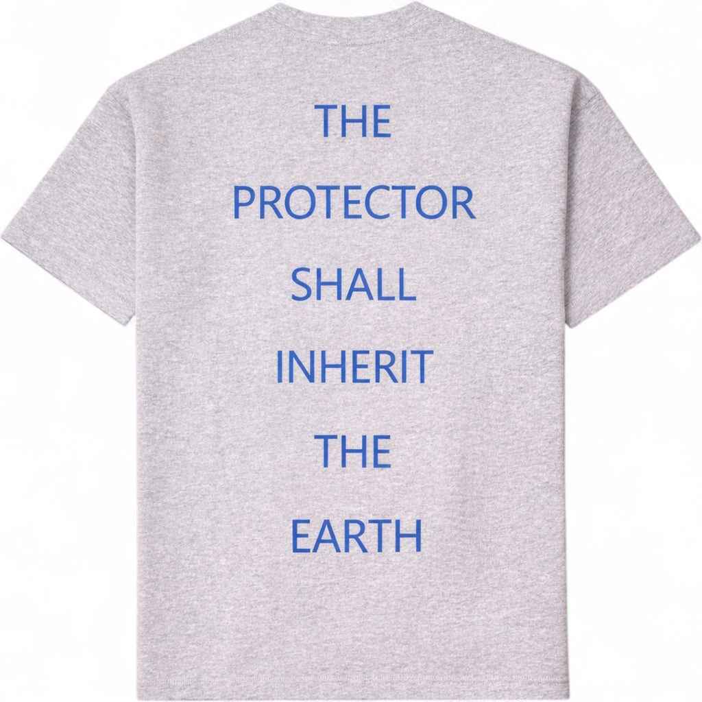 Not Perfect Premium Tee In Heather Grey